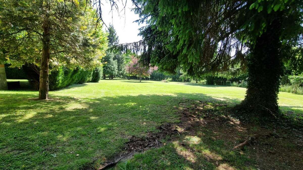 20250516_153037 - Maison à SAVIGNAC-DE-NONTRON