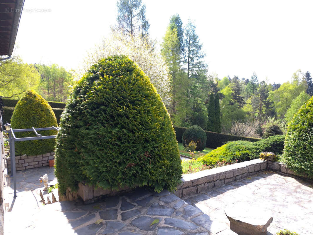 Maison à LE CHAMBON-SUR-LIGNON