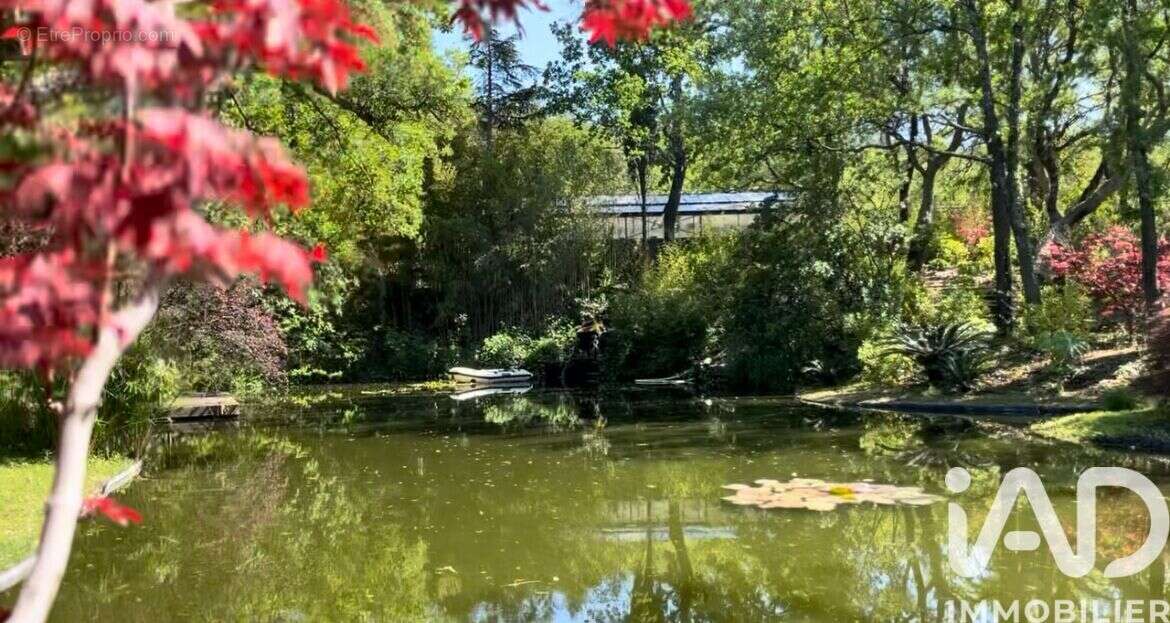 Photo 5 - Maison à COGOLIN