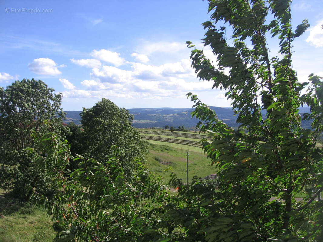 Maison en pierres avec terrain attenant - photo 8