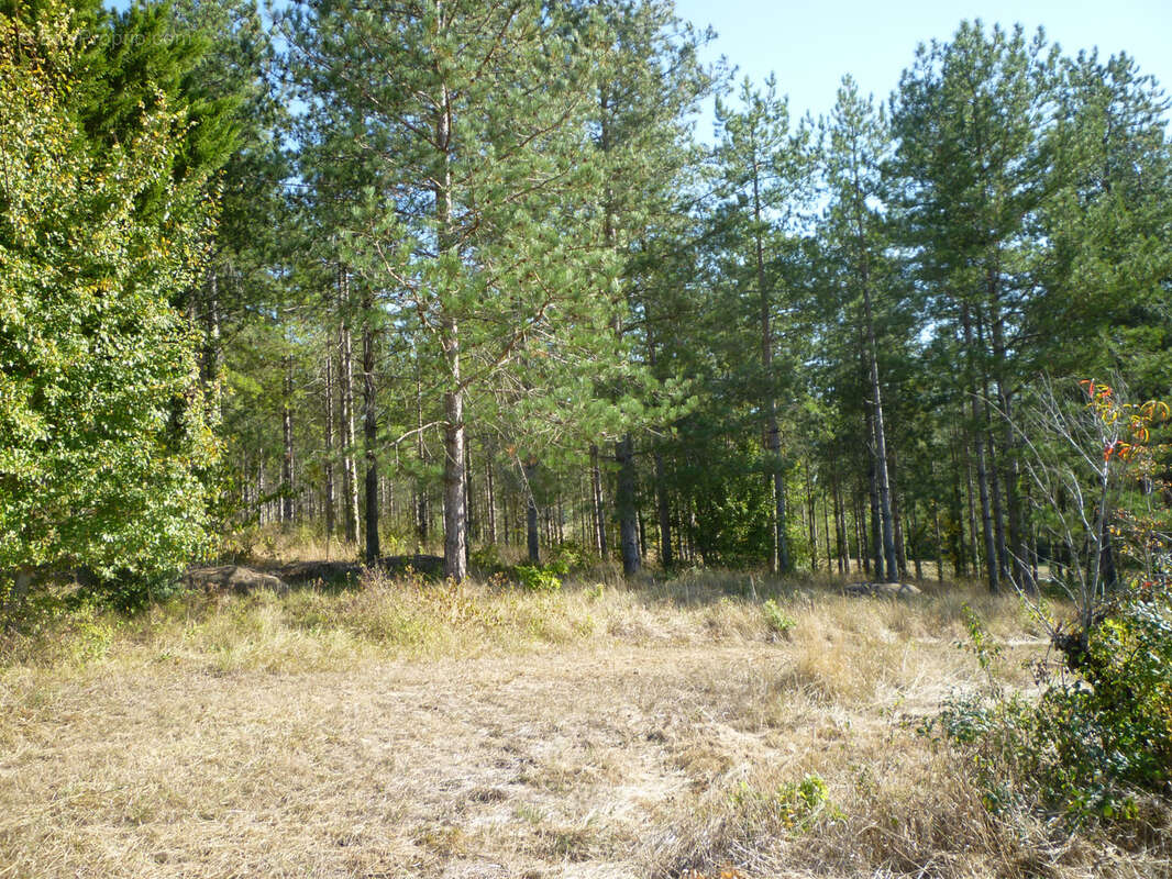 Terrain de loisirs - photo 4