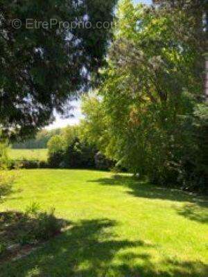 Maison 282 m² à Walincourt-Selvigny  - photo 9