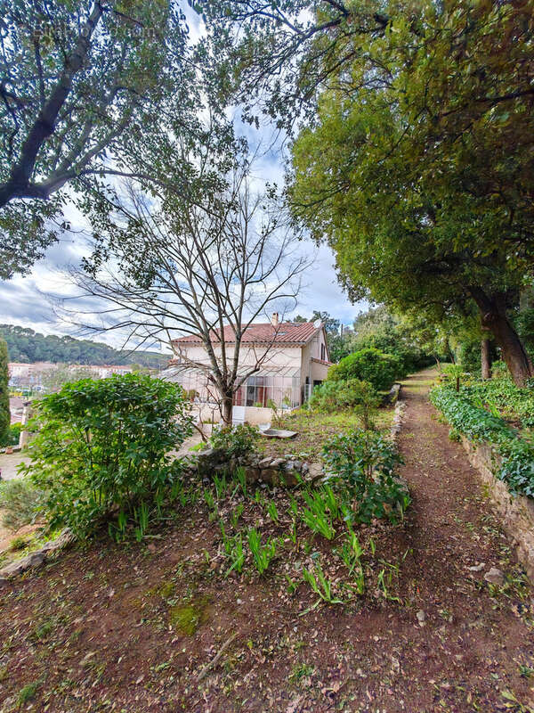 Maison à TRANS-EN-PROVENCE