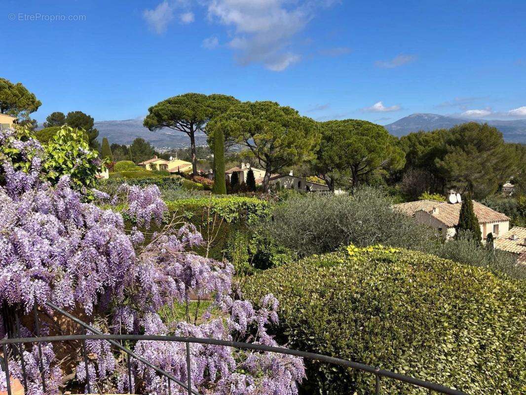 Maison à MOUANS-SARTOUX