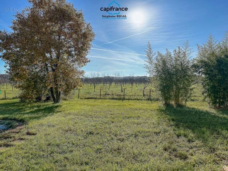 Maison à SAINT-VITE