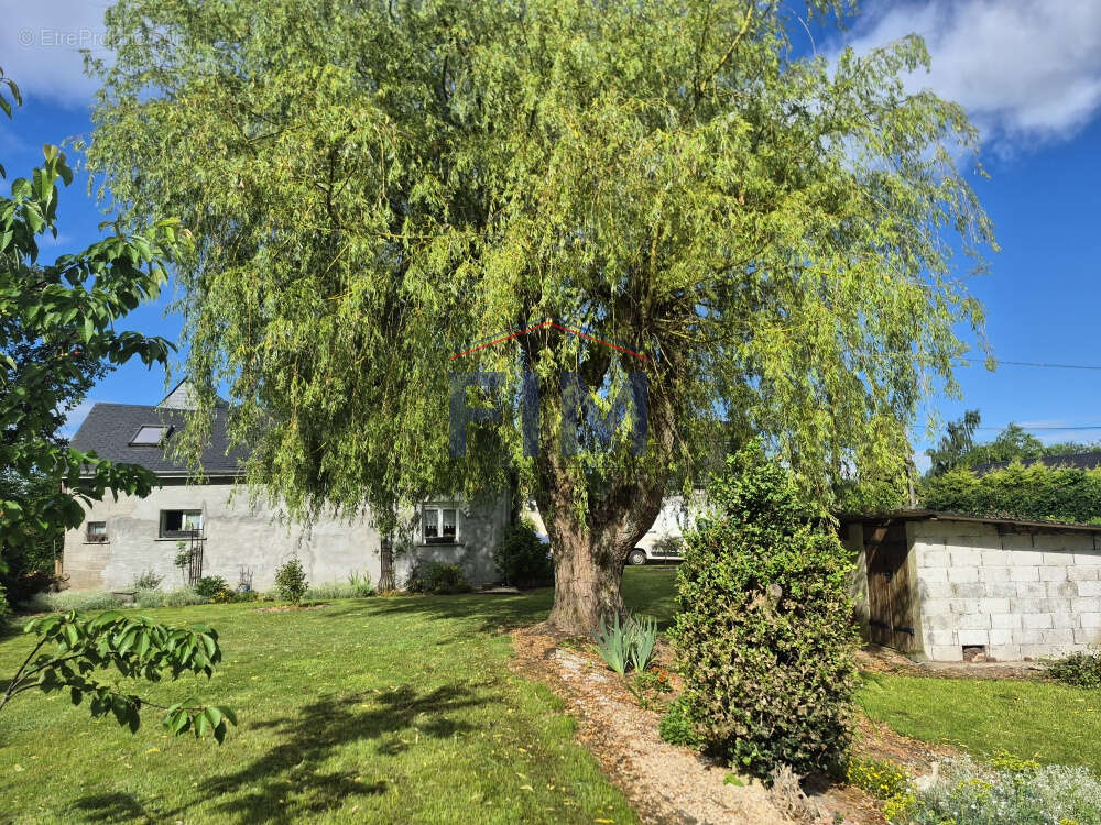 Maison à NEUFCHATEL-EN-BRAY