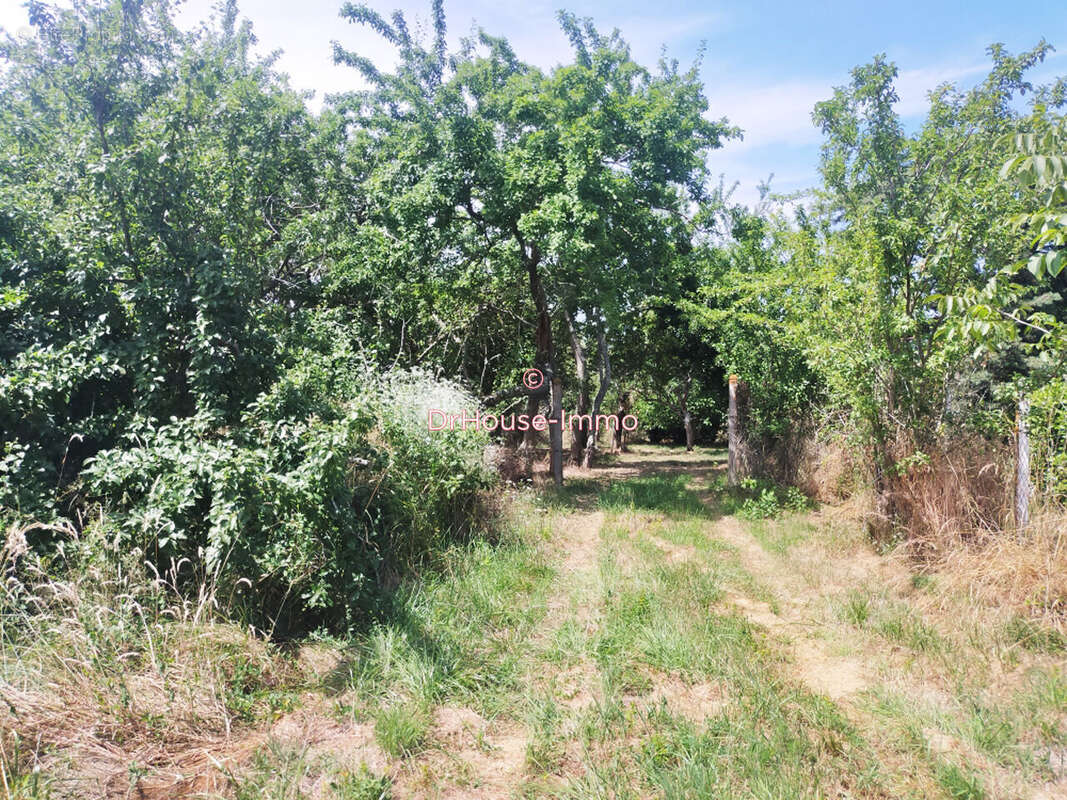 Terrain à BEAUVOIR