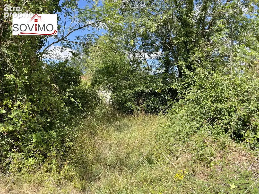 Au coeur de la nature, authentique maison de campagne en pierre à renover - photo 15
