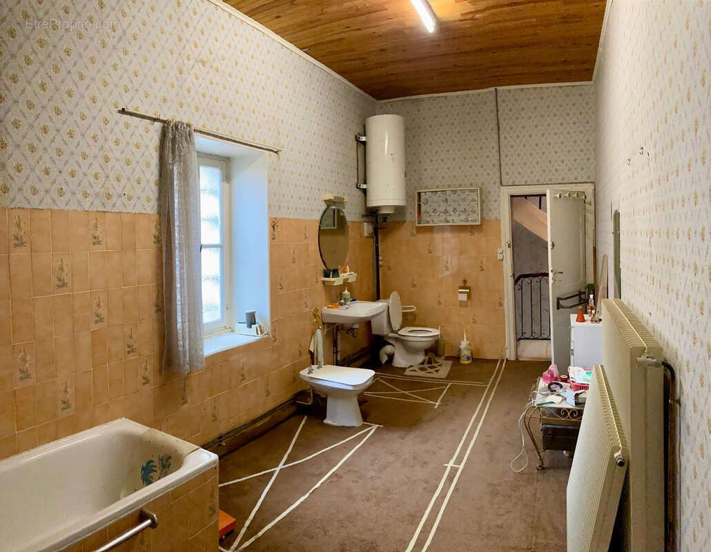 Maison à PUJOLS-SUR-CIRON