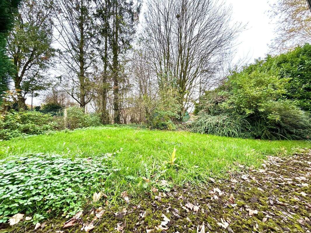 Photo 4 - Terrain à WILLEMS