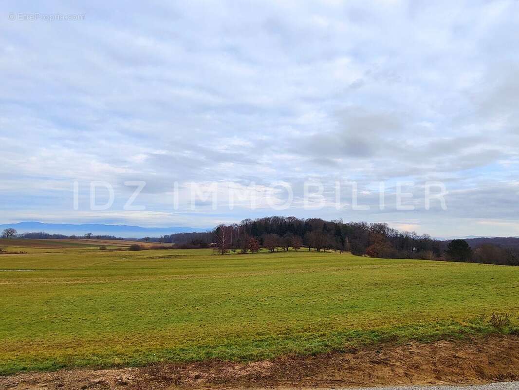 Maison à WENTZWILLER