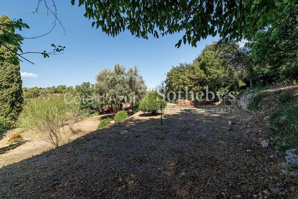 Terrain à ASPREMONT