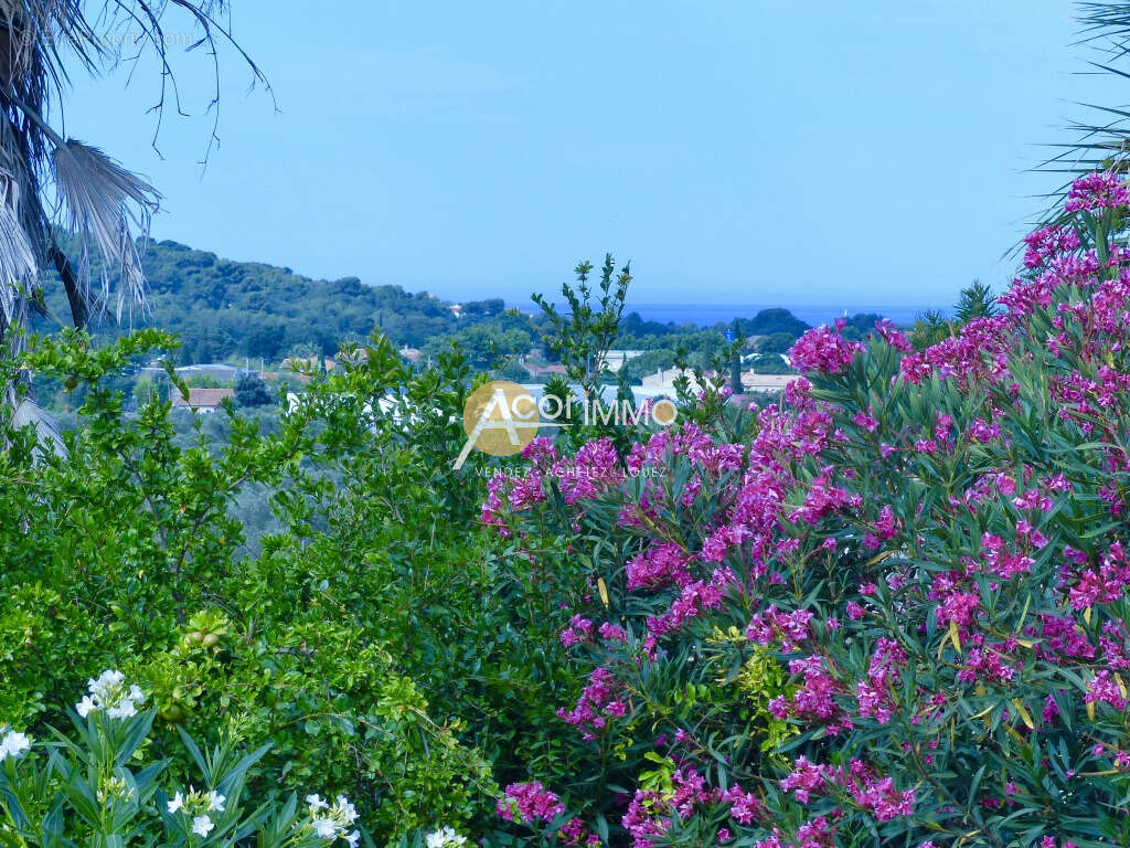 Ollioules villa vue dominante - photo 22