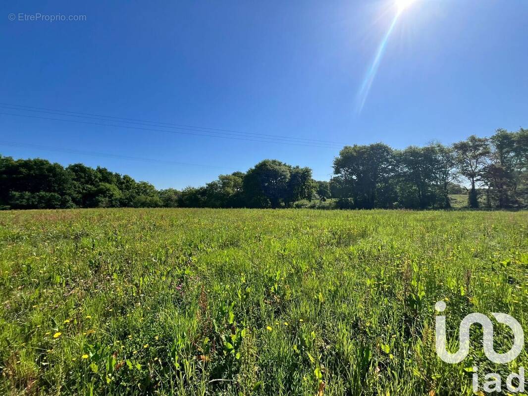 Photo 1 - Terrain à SAULT-DE-NAVAILLES