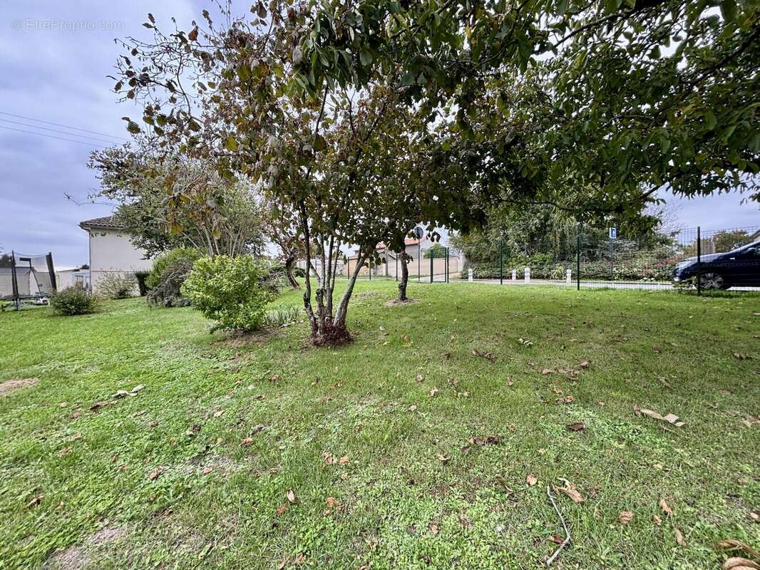 Terrain à VOUNEUIL-SOUS-BIARD