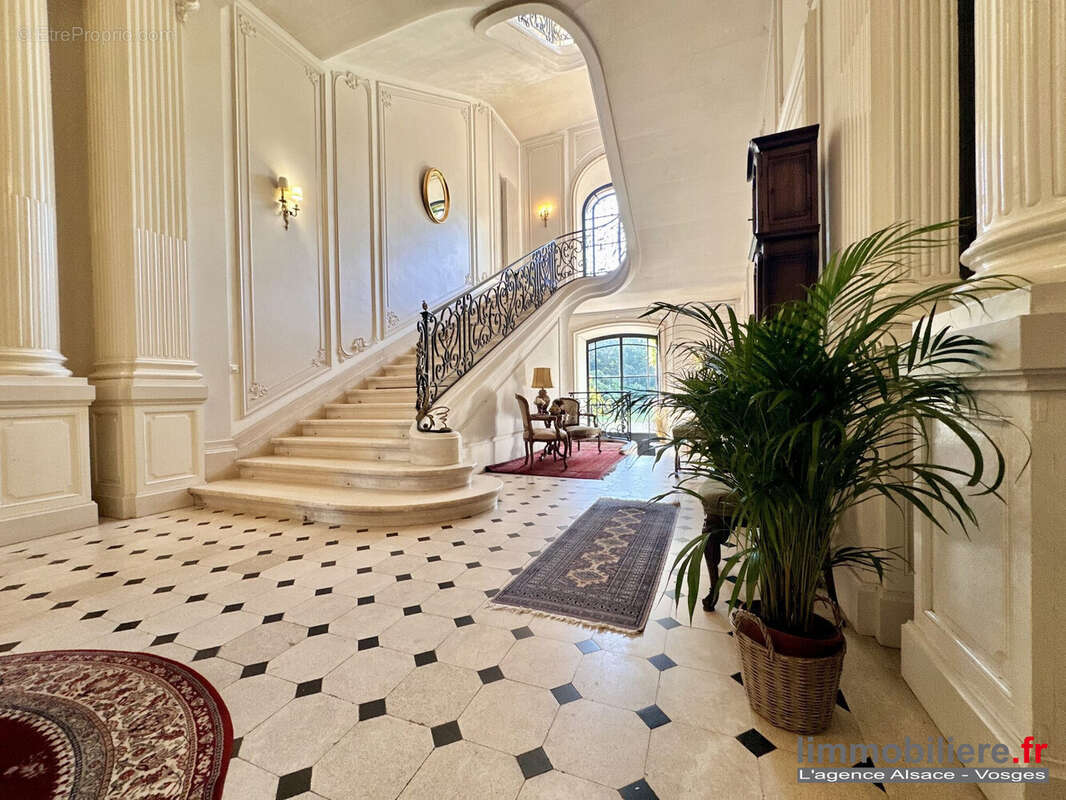 321 m² à Saint-Die-Des-Vosges  - photo 5