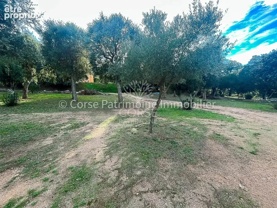 Terrain de 1020 M2 plage à pied - photo 12