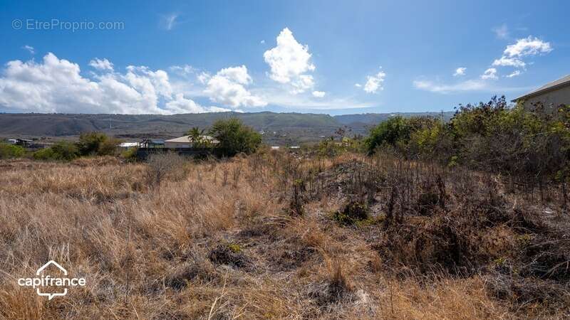 Terrain à LES TROIS-BASSINS