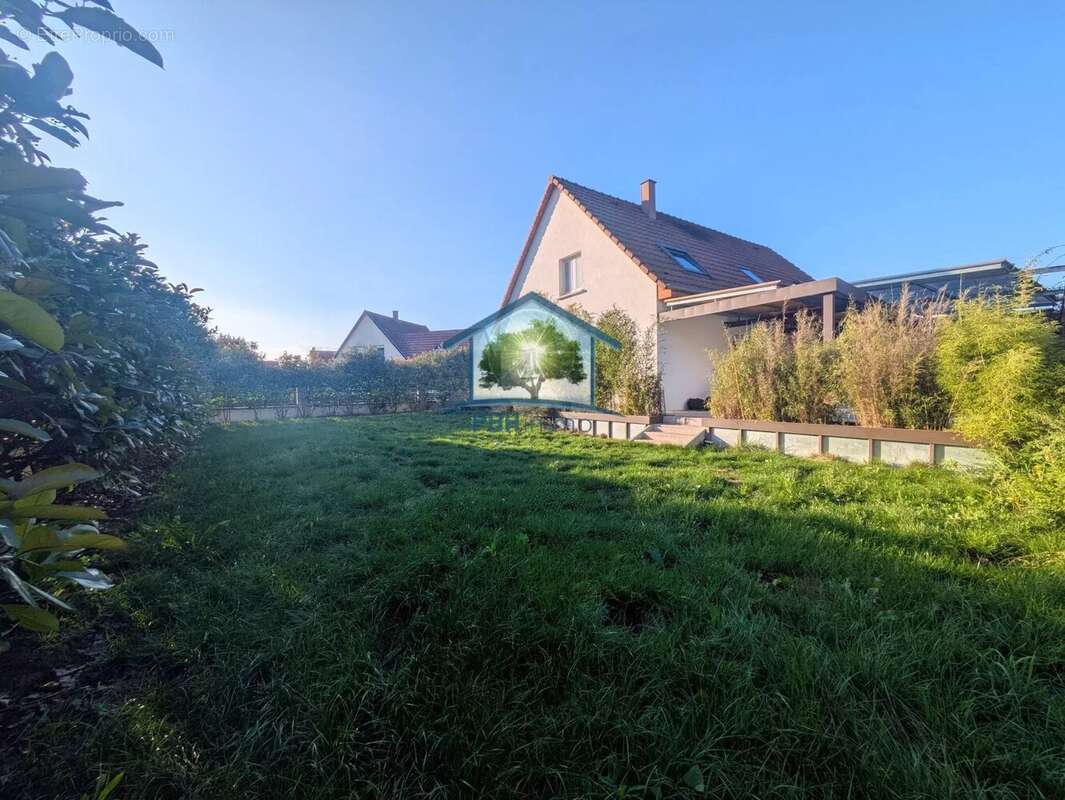 Maison à OBERMODERN-ZUTZENDORF