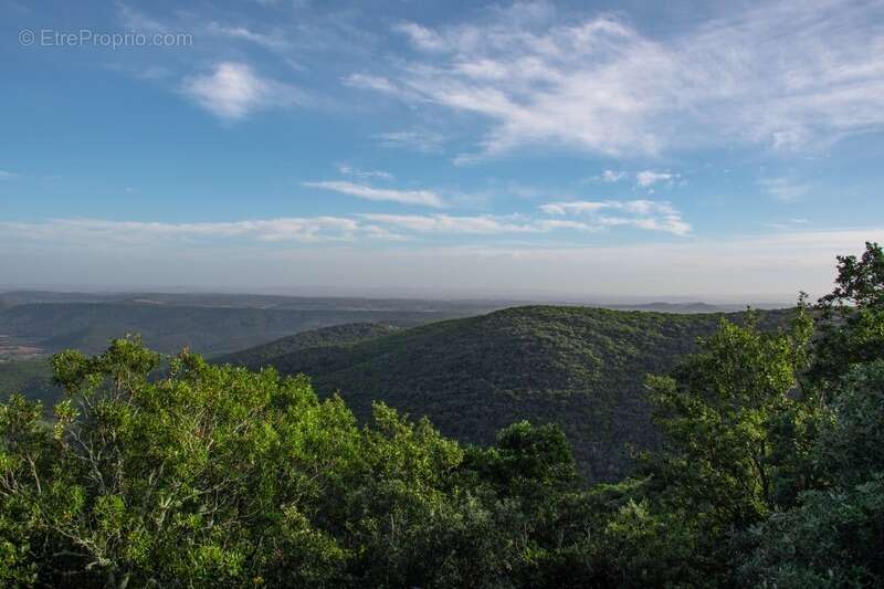 Maison à SAINT-CHINIAN