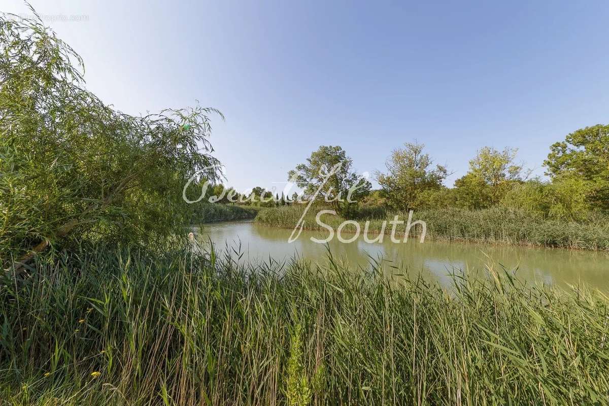 Sublime propriete, maison de maitre + gites, domaine de 11 hectares, narbonne - photo 22