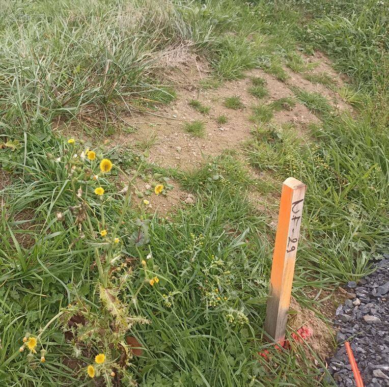 Terrain à SAINT-BREVIN-LES-PINS