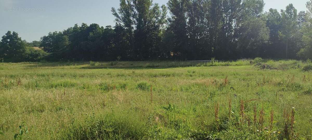 Photo 3 - Terrain à PARISOT