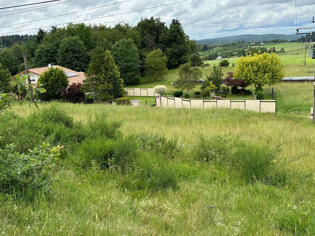 Terrain à REMIREMONT