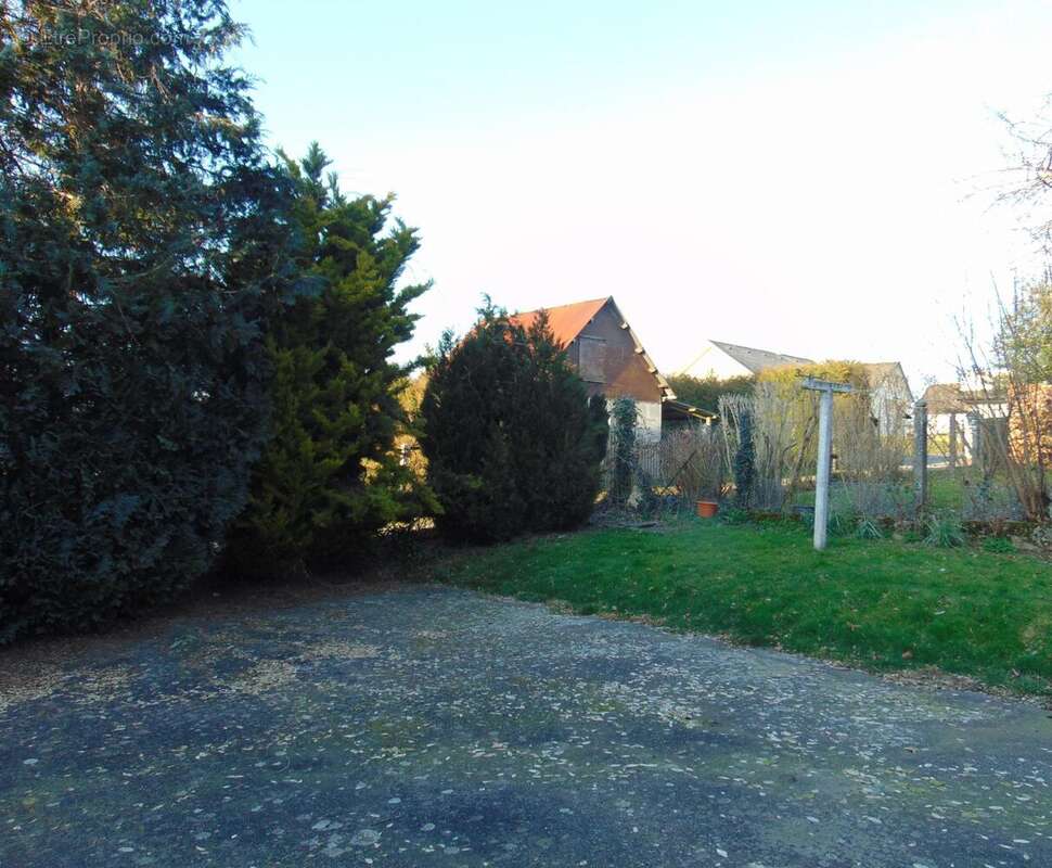 Photo 4 - Commerce à FLERS