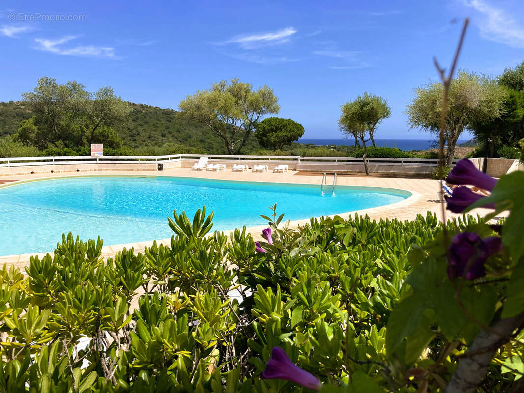 Maison à PORTO-VECCHIO