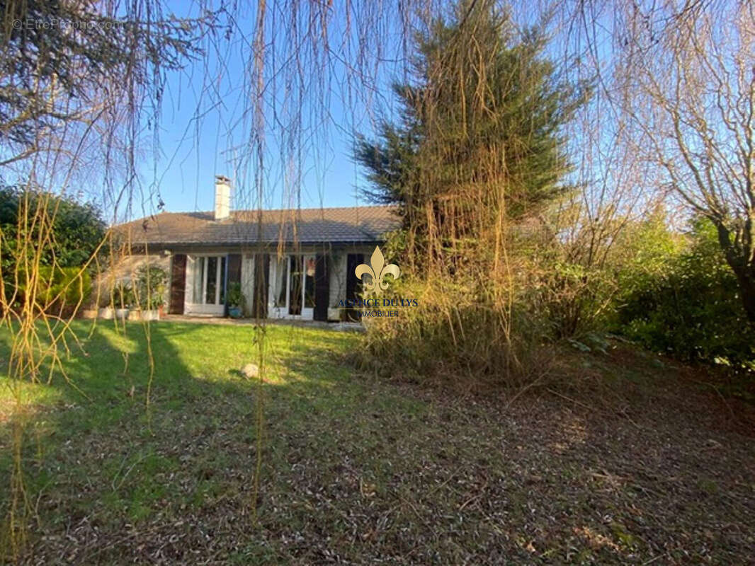 Maison à SAINT-WITZ