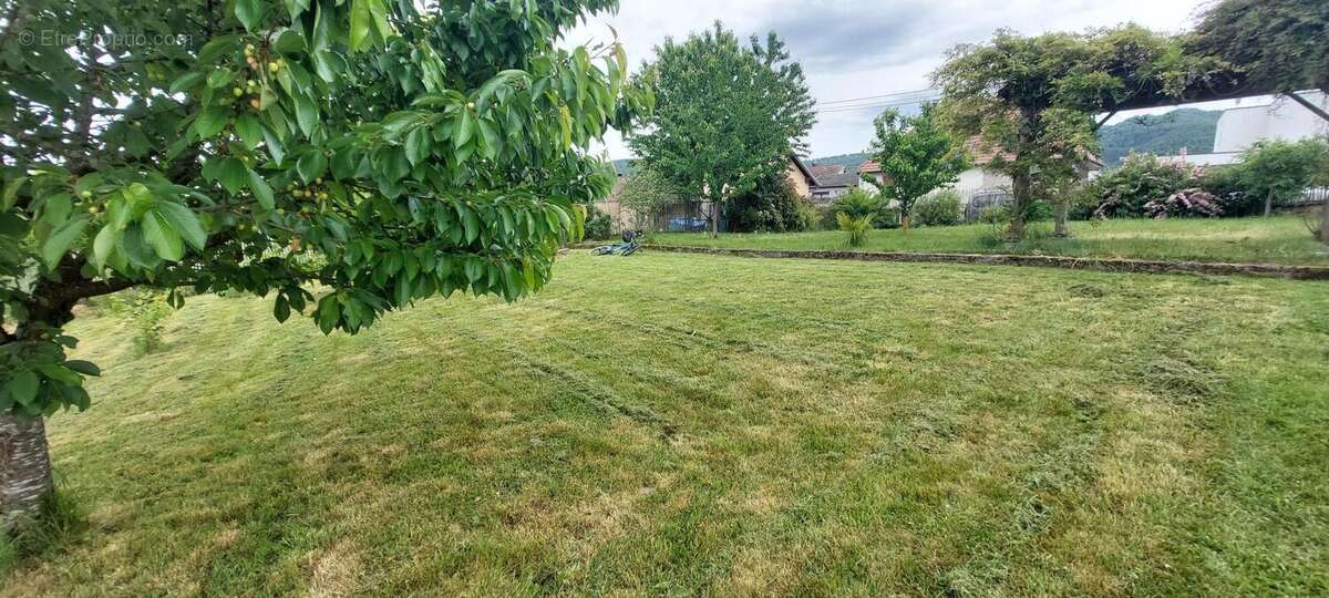 Photo 6 - Terrain à LUTZELHOUSE