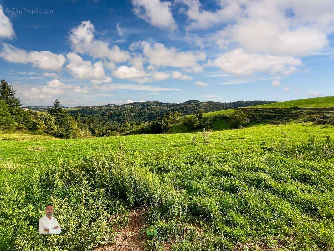 Terrain à SAINT-REMY-DE-CHARGNAT