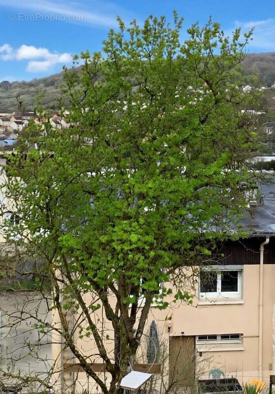 Maison à CHAVIGNY