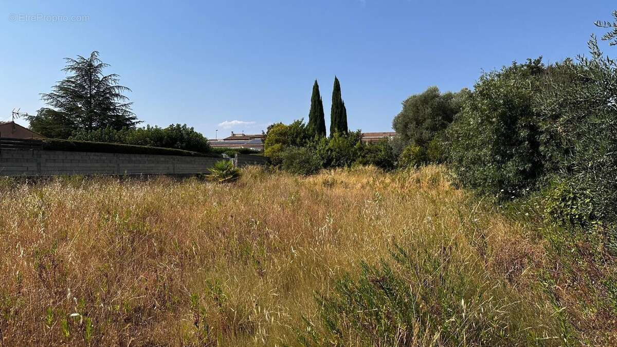 Terrain 616 m² à Trebes  - photo 3