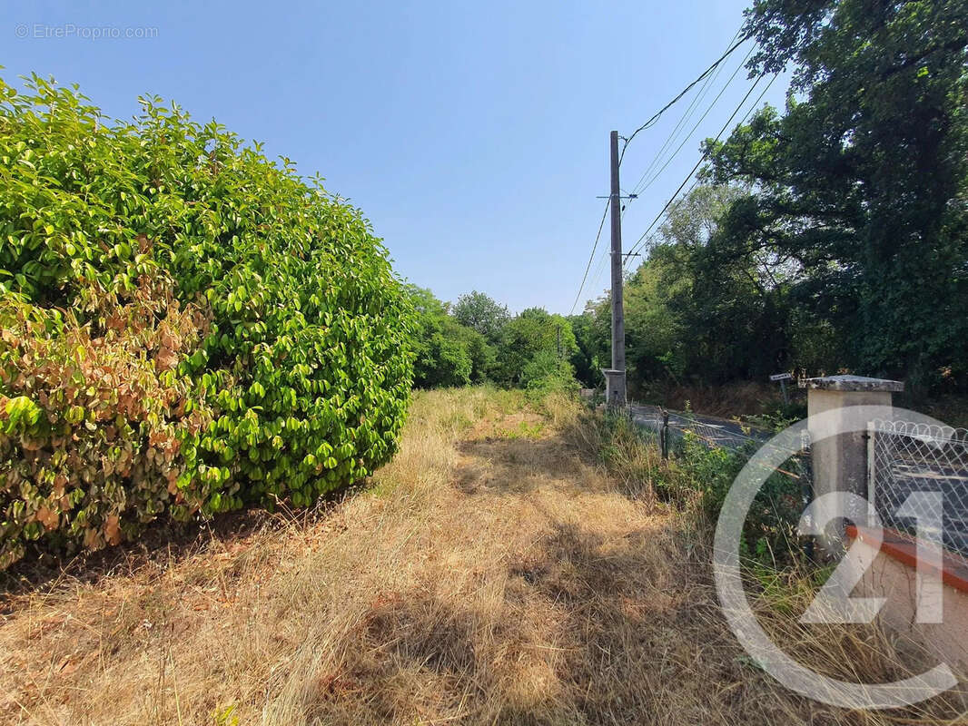Terrain 860 m² à Montans  - photo 6