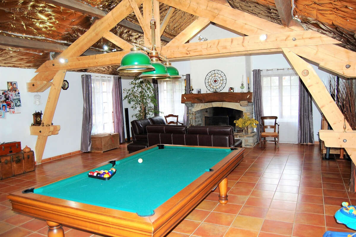 Mas du 19ieme avec 3 gites et partie privative 180m2 sur 3843 m2 de terrain avec piscine - photo 2