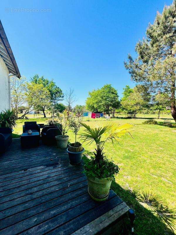 Maison à SAINTE-EULALIE-EN-BORN