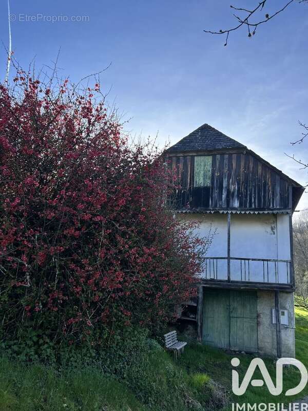 Photo 4 - Maison à TREBONS
