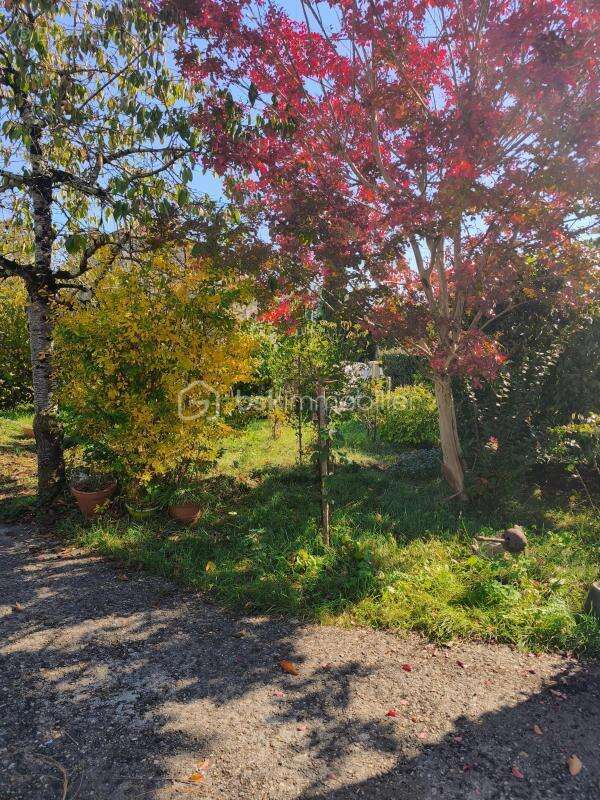 Maison à MOULIN-NEUF