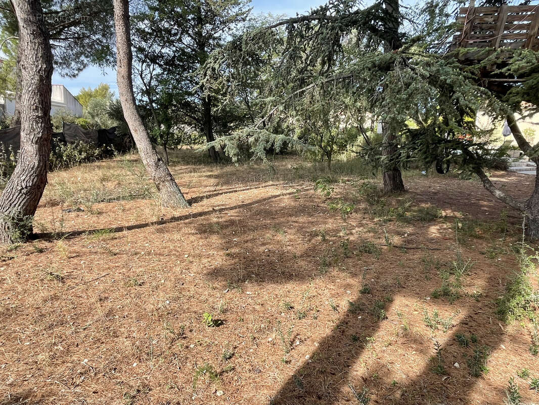 Terrain à SAINT-JEAN-DE-FOS