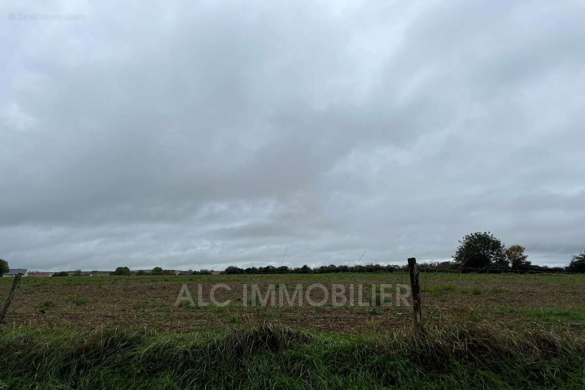 Terrain à DAMIGNY