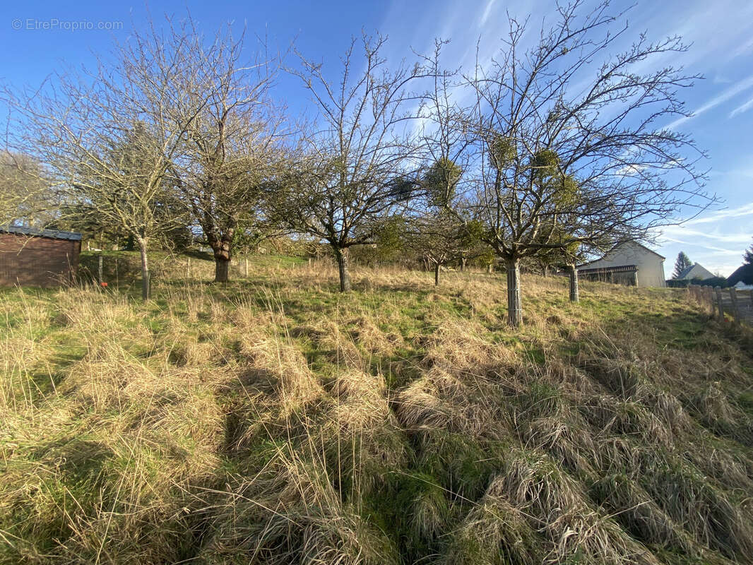 Terrain proche centre-ville - photo 3