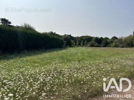 Terrain 2744 m² à La Marolle-En-Sologne  - photo 2