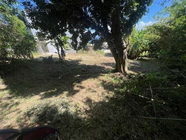 Terrain à SAINT-DENIS