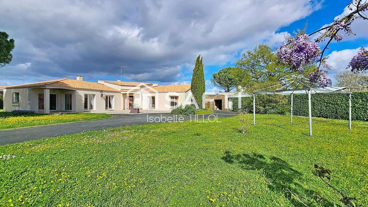 Photo 3 - Maison à LUCON