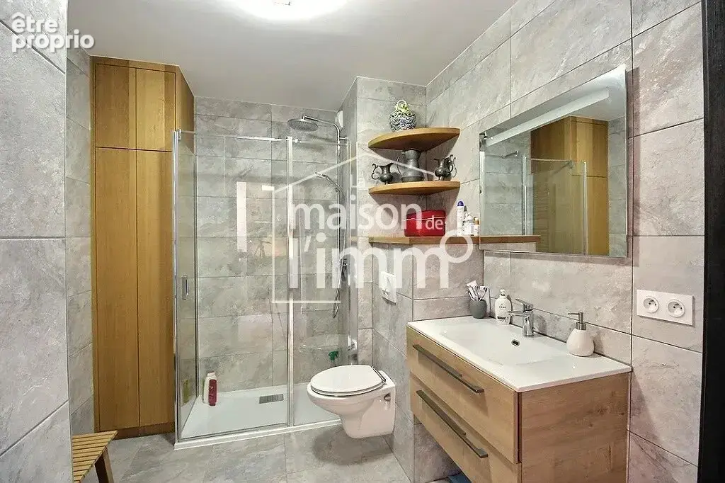 Appartement t2 – à vendre – châtel - photo 5