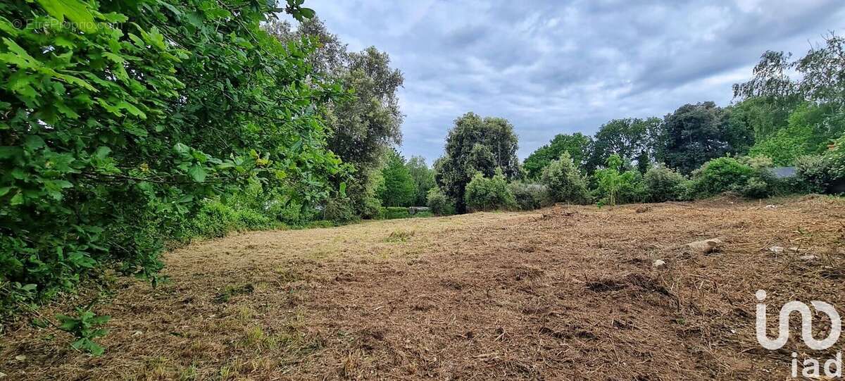 Photo 2 - Terrain à BADEN