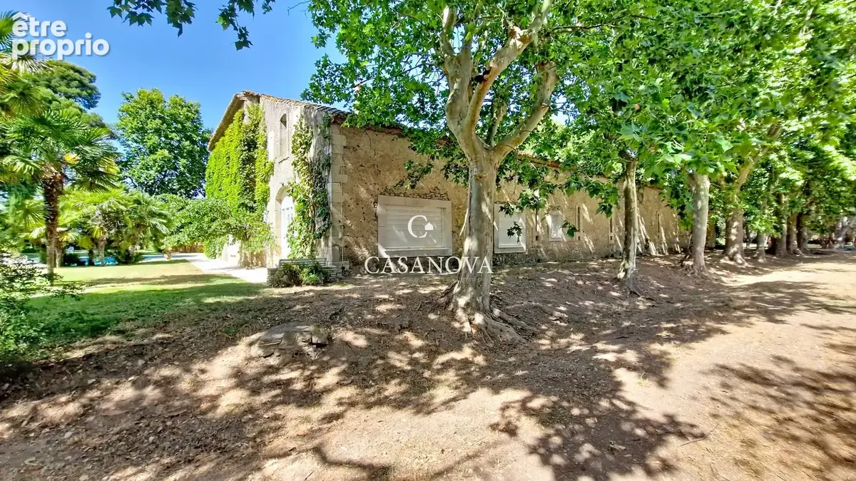 Propriété familiale ou activité de réception - parc de 4 hectares - 15 minutes de Narbonne - 25 minutes  de Béziers - photo 8