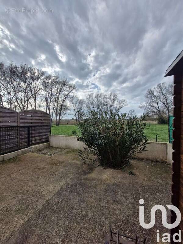 Photo 6 - Appartement à MARSEILLAN